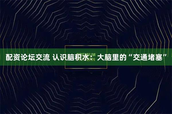 配资论坛交流 认识脑积水：大脑里的“交通堵塞”