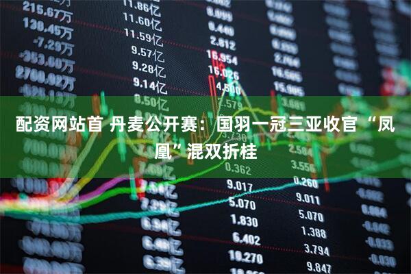 配资网站首 丹麦公开赛：国羽一冠三亚收官 “凤凰”混双折桂