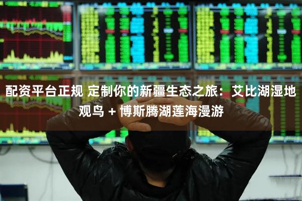 配资平台正规 定制你的新疆生态之旅：艾比湖湿地观鸟 + 博斯腾湖莲海漫游